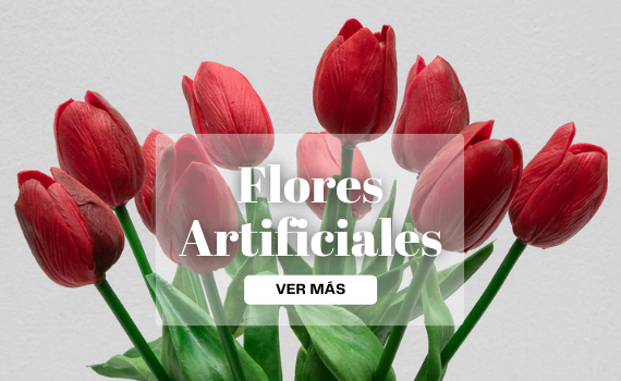 Banner Publicidad 1-1.png